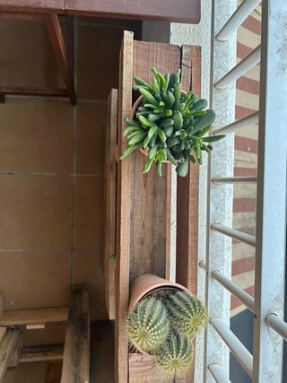 Estantería Rústica de Madera