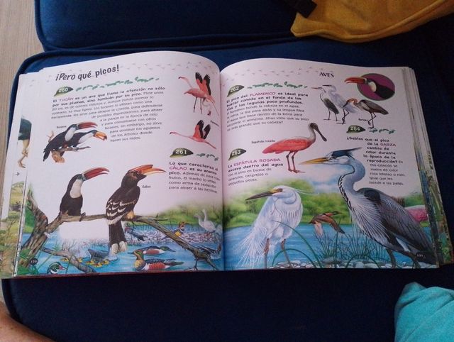 500 preguntas y respuestas sobre los animales