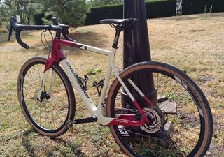 Megamo West 15 (2021) Gravel Bike