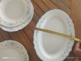 Set de Bandejas Arcopal Flor Azul