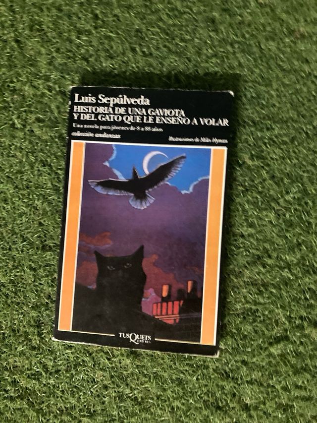 Historia de una gaviota y del gato que le ensen...