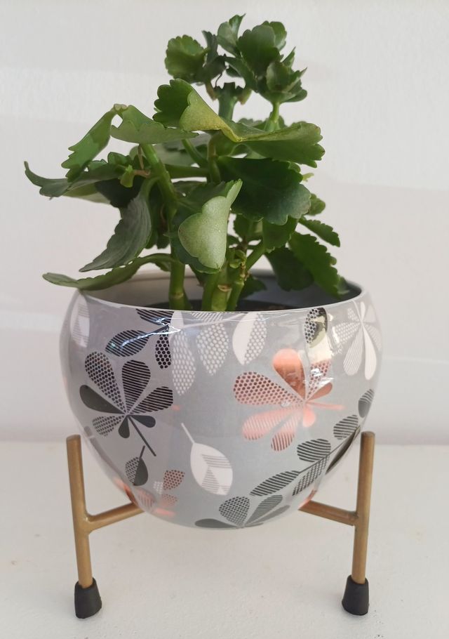 fioriera bianca con supporto