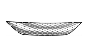 Rejilla frontal coche