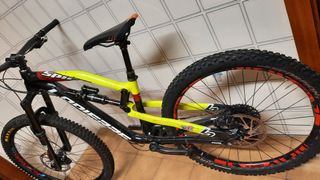 Lapierre Spicy Mullet