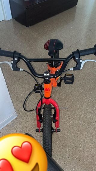 Bicicleta Monty 103