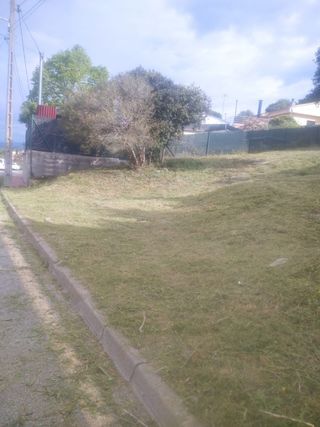 Servicios de desbroce y poda de árboles