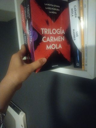 Los 4 libros de Carmen Mola