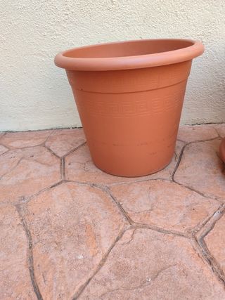 Maceta gigante