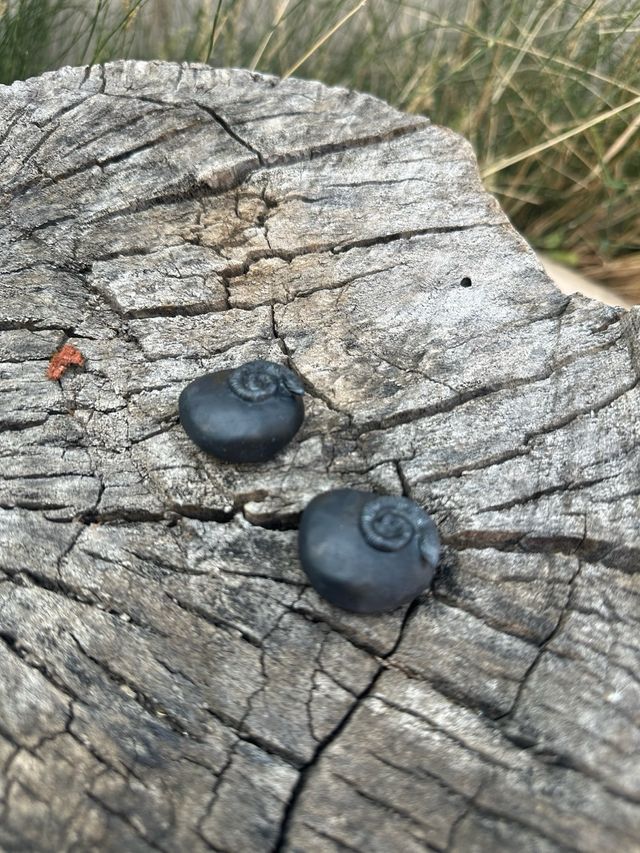 2 Piedras lanzadas por Hermione