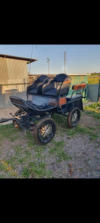 Coche de caballo maratón
