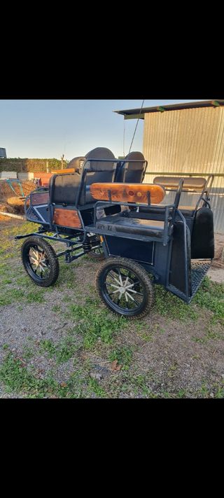 Coche de caballo maratón