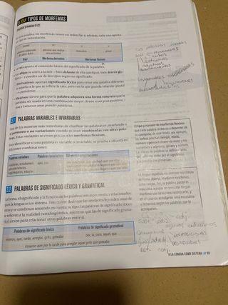 Lengua 1 ESO 