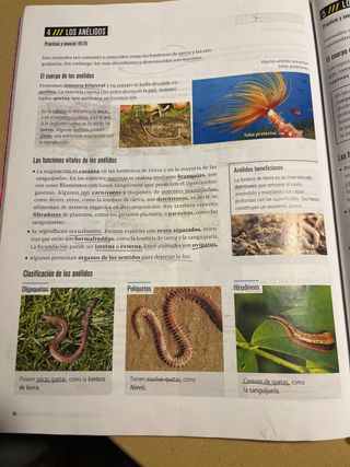 Biología y Geología 1 ESO