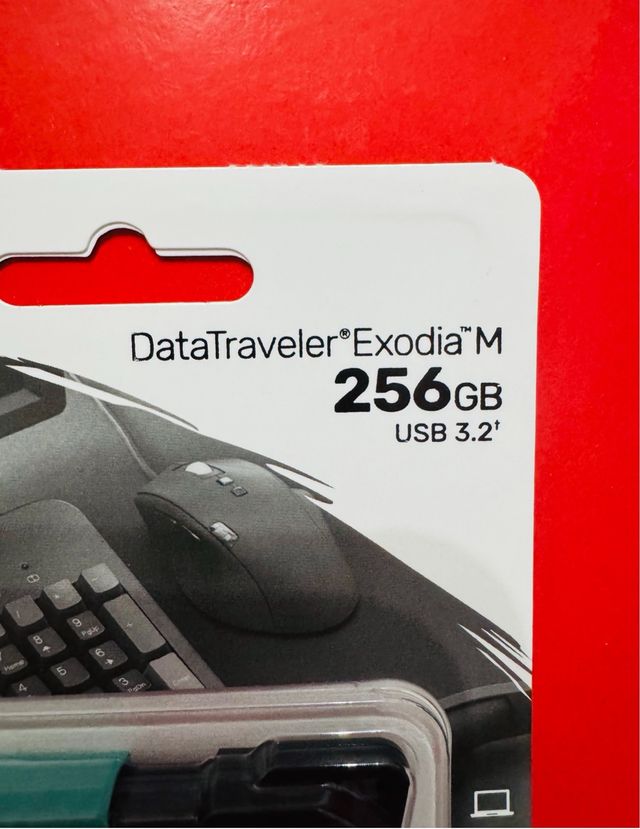 Memoria USB Kingston 256GB Data Traveler DTXM