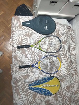 Lote 2 Raquetas de Tenis
