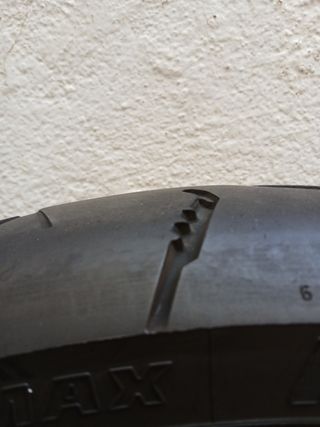 Neumático Dunlop Trailmax Meridian