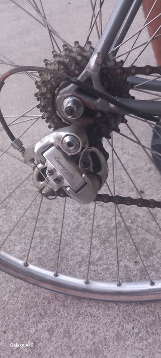 Bicicleta Raleigh plateada