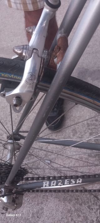 Bicicleta Raleigh plateada