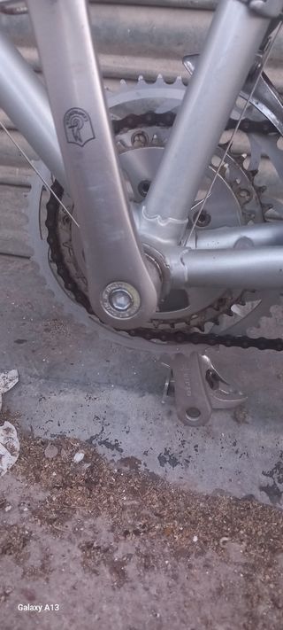 Bicicleta Raleigh plateada