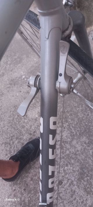 Bicicleta Raleigh plateada