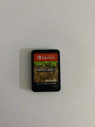 Minecraft per Nintendo Switch
