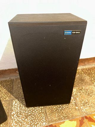 Altavoz Pioneer CS-343 Negro