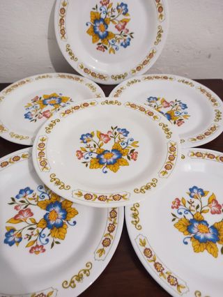 Platos Arcopal Florales Francia x6