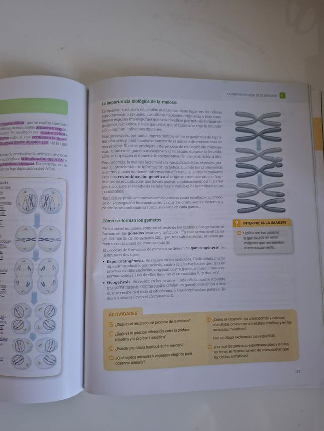 Biología y Geología