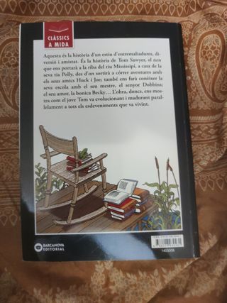 Les aventures de Tom Sawyer