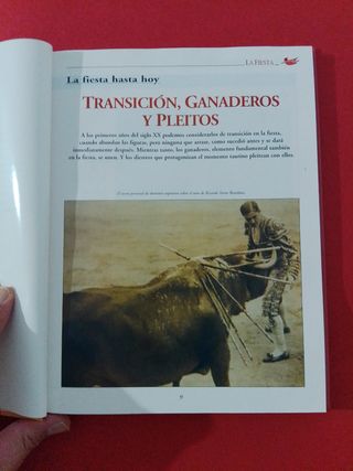 TOROS. La Fiesta II.
