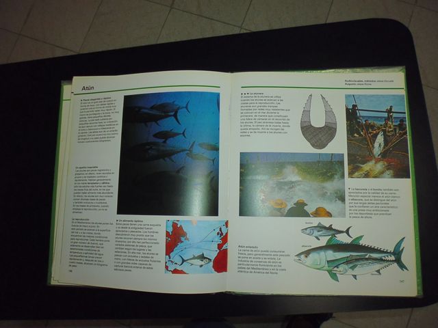 Enciclopedia general básica P8