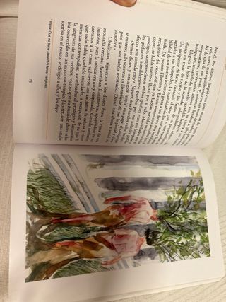 Metamorfosis (Clasicos a Medida) (Spanish Edition)