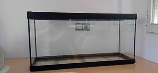 Urna Acuario Pecera