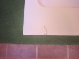 Minicuna colecho Interbaby Woody