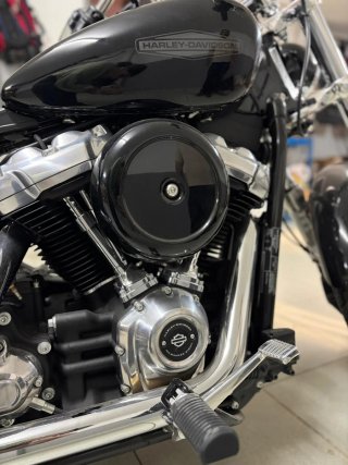 Harley-Davidson Softail Standard 2021