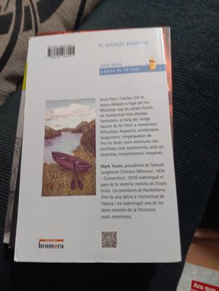 Les aventures huckleberry Finn