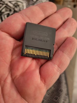 Gioco Nintendo Ds