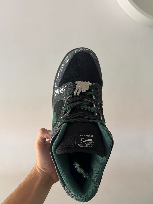 Sb dunk there skateboard