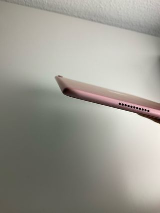 iPad Pro 10.5 + funda