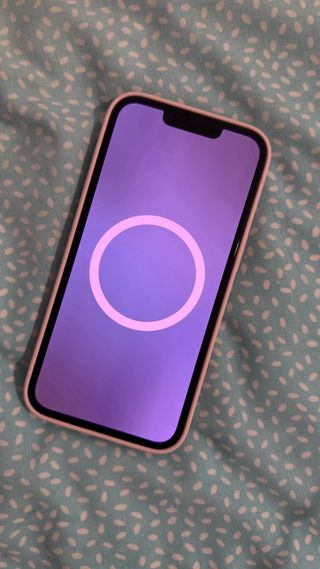 Funda iPhone 13 Pro Rosa Apple