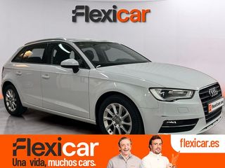 Audi A3 Sportback 1.6 TDI 110cv clean d Ambiente