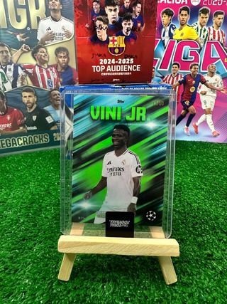 /50Vini Jr.
TTF vibrant