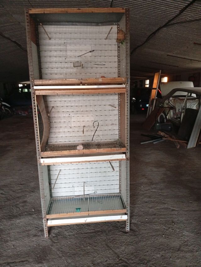 Jaulas para canarios y pájaros