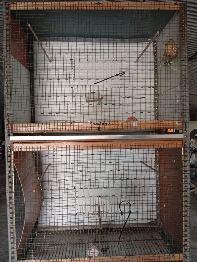 Jaulas para canarios y pájaros