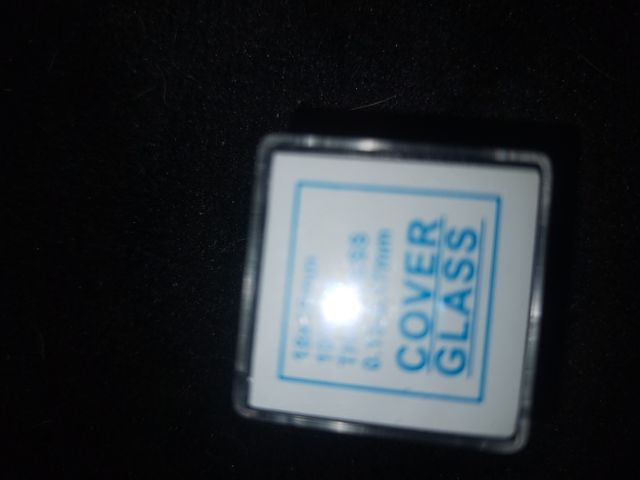 Microscopio semi profesional con pantalla