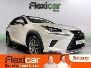 Lexus NX 2.5 300h Executive Kick Power+Navig
