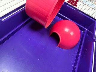 Jaula para hámster con accesorios