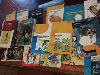 Lote libros infantiles