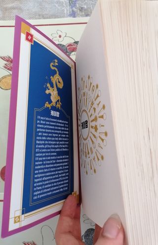 libro sul kpop 