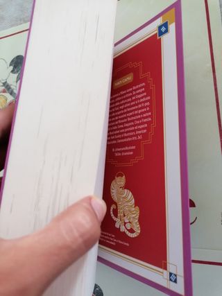 libro sul kpop 